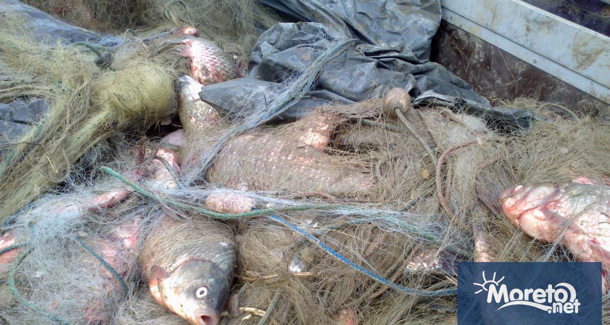 Инспектори от Изпълнителна агенция по рибарство и аквакултури ИАРА извършиха