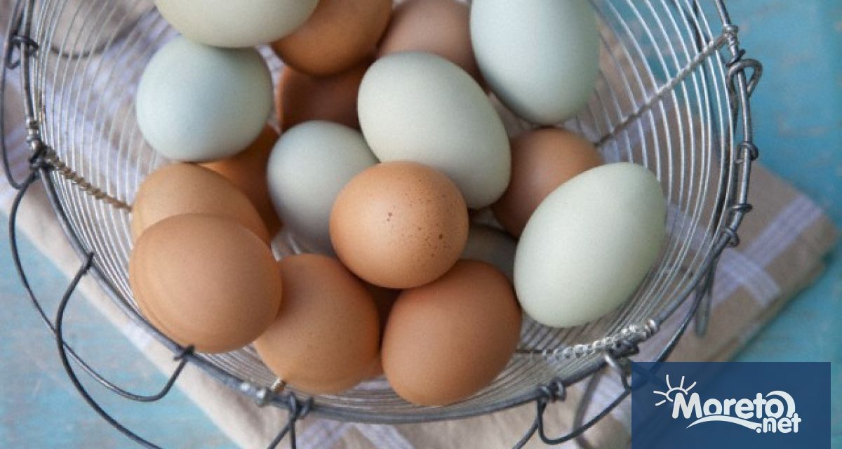 Диетологът Елена Соломатина посочва дали трябва да се мият яйцата