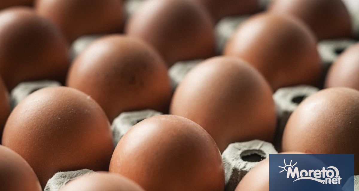 Яйцата са с най голям ръст в цените за последната година