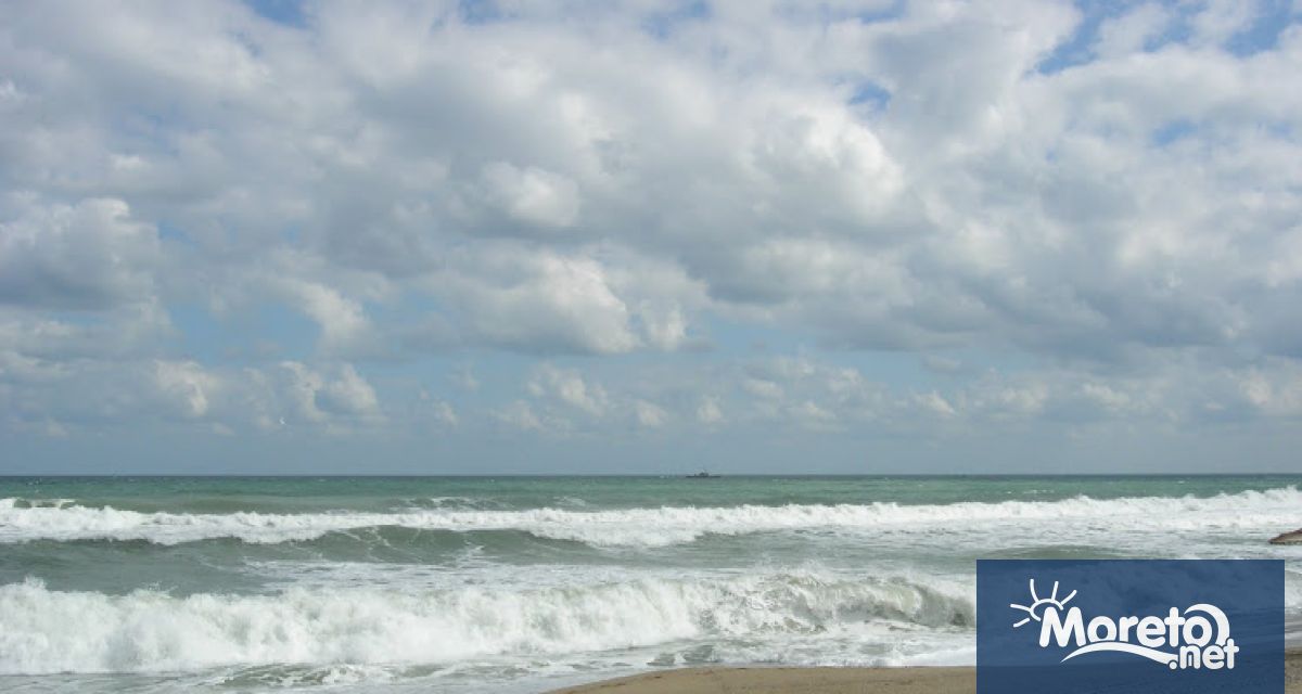 Снимка за изхвърлен на брега умрял делфин изпрати читател на