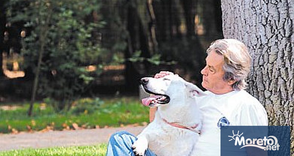 Желанието на покойния френски актьор Ален Делон домашното му куче