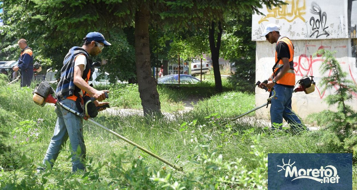 Шест фирми са ангажирани с пролетното косене на зелените площи