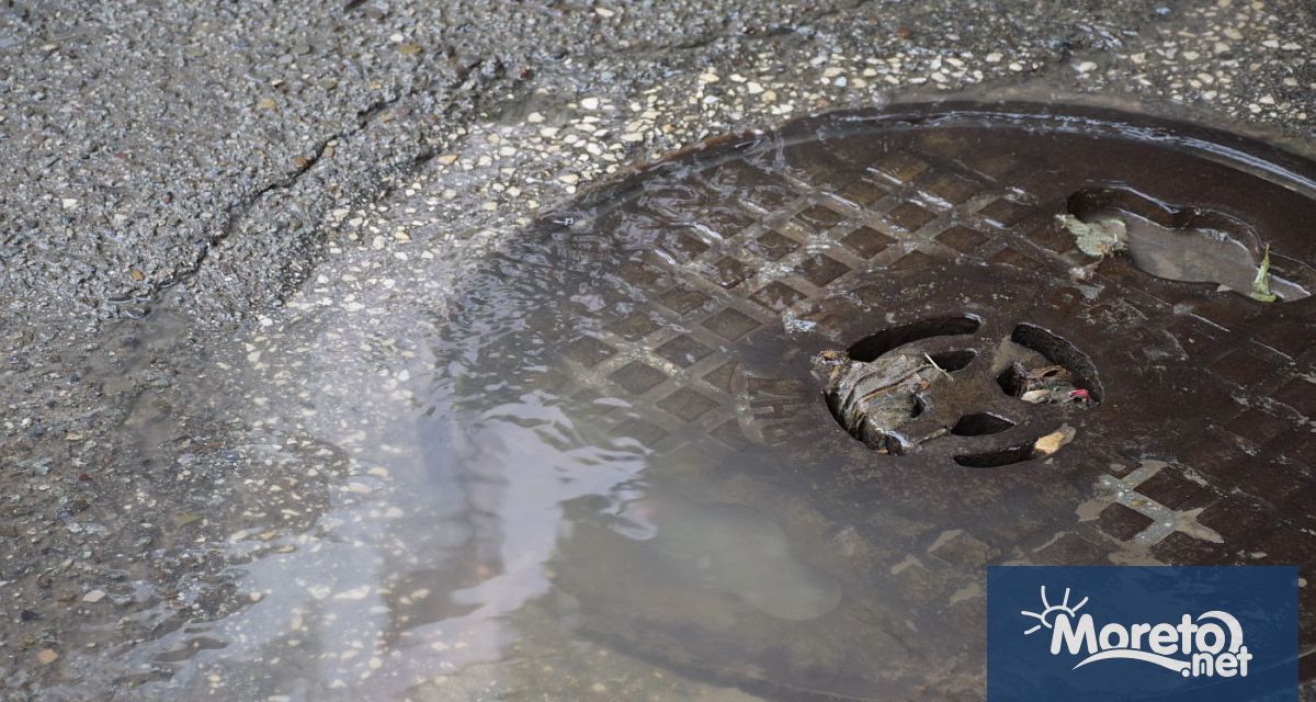От днес започва масова дератизация на каналните шахти и дерета