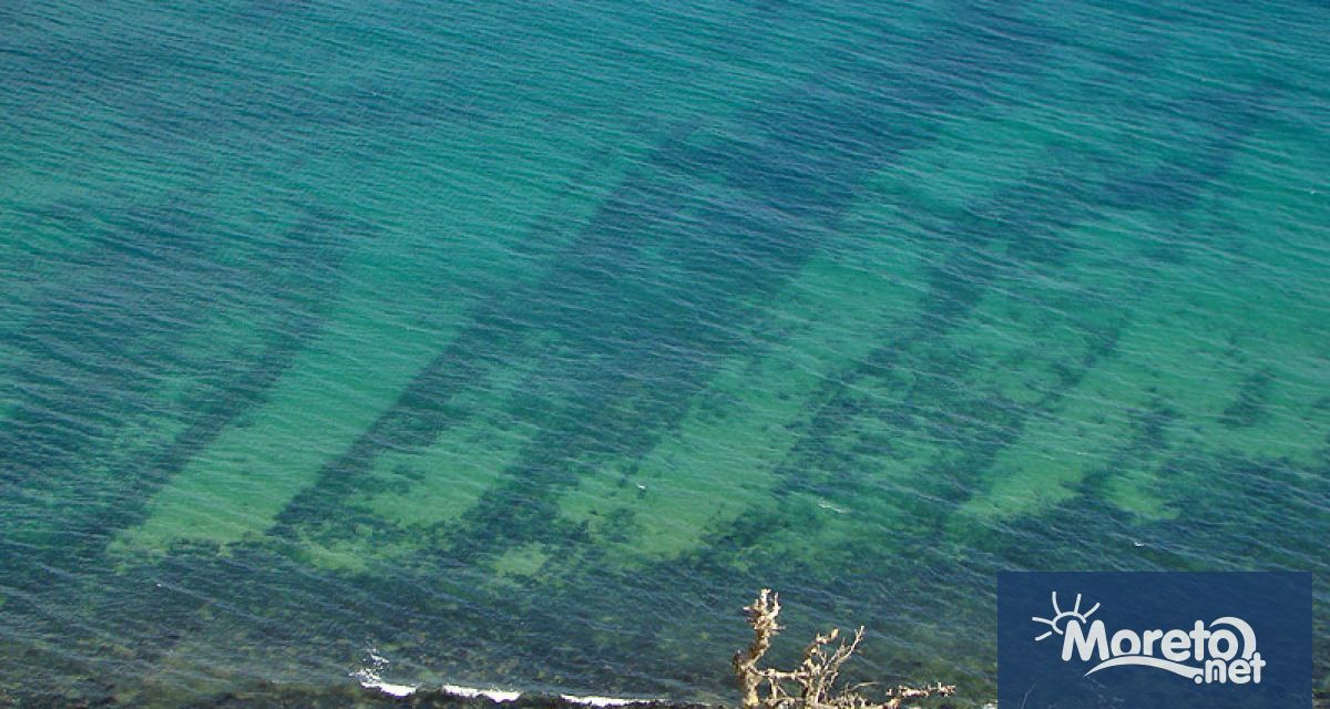 Европейската прокуратура в София разследва проект за мидена ферма край