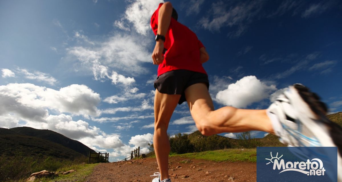 Бодигардове от шведските тайни служби са допуснали сериозен пробив в
