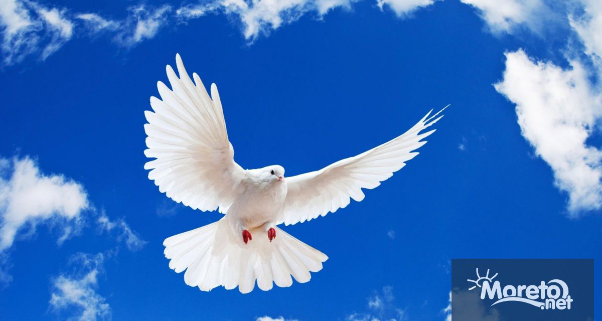 Всяка година на 21 септември светът отбелязва Деня на мира,