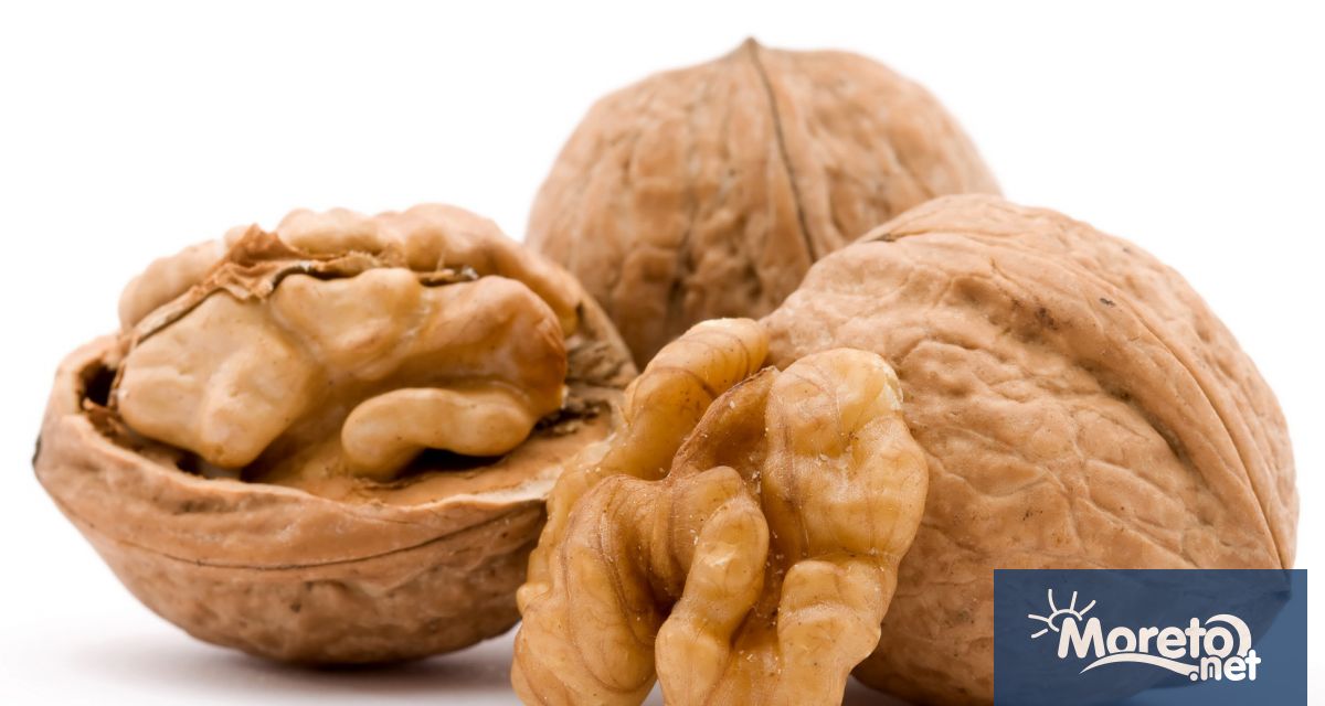 Испански учени установиха че порция ядки дневно може да намали