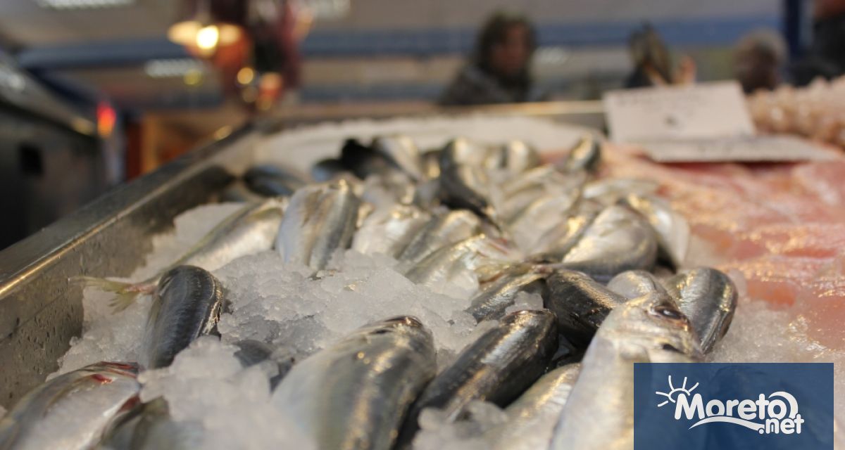 В градските домове в Черноморския край на коледната трапеза освен