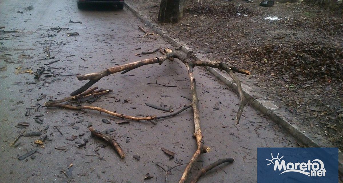 Няма регистрирани сериозни щети вследствие на силния вятър във Варна На