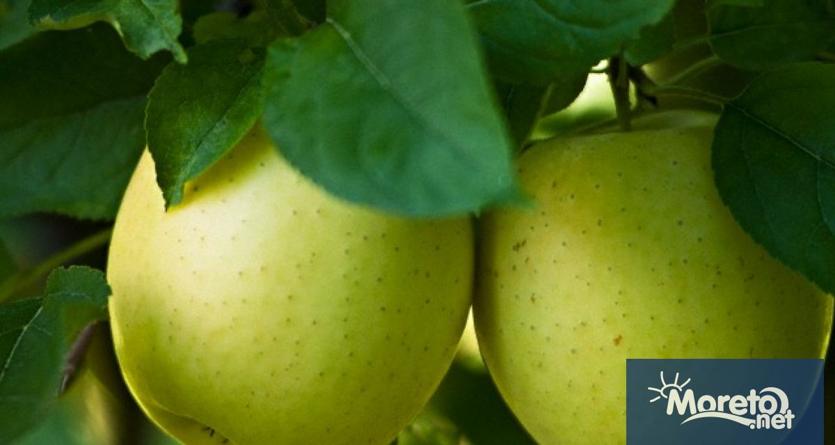 Смъртоносните наводнения сполетели Северна Италия ще имат катастрофални последици за