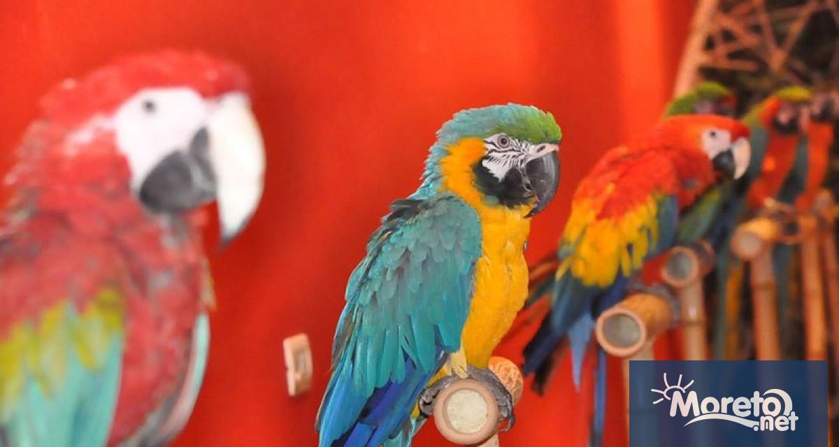 18 069 диви животни се отглеждат у нас като домашни