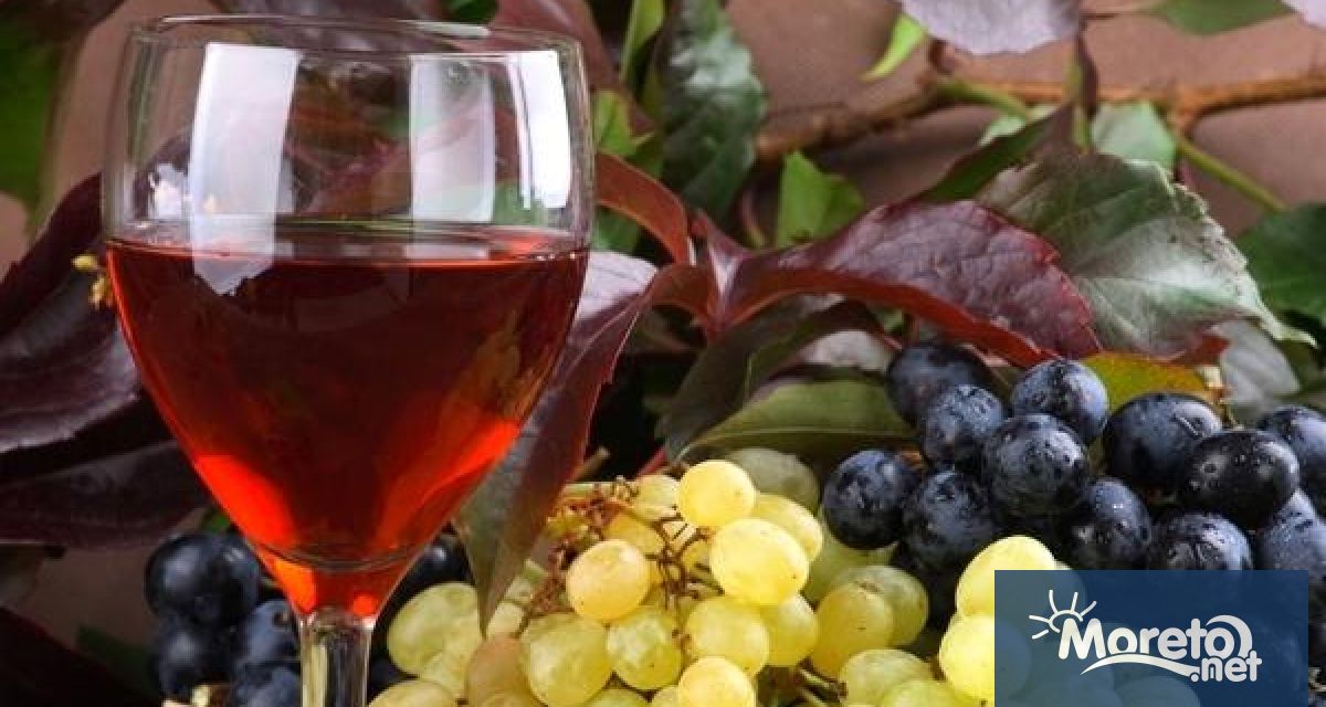 Любими вина в Европа могат да изчезнат заради изменението на