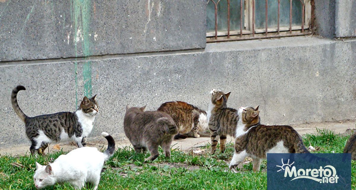 В Община Варна бе проведена поредна среща с представители на