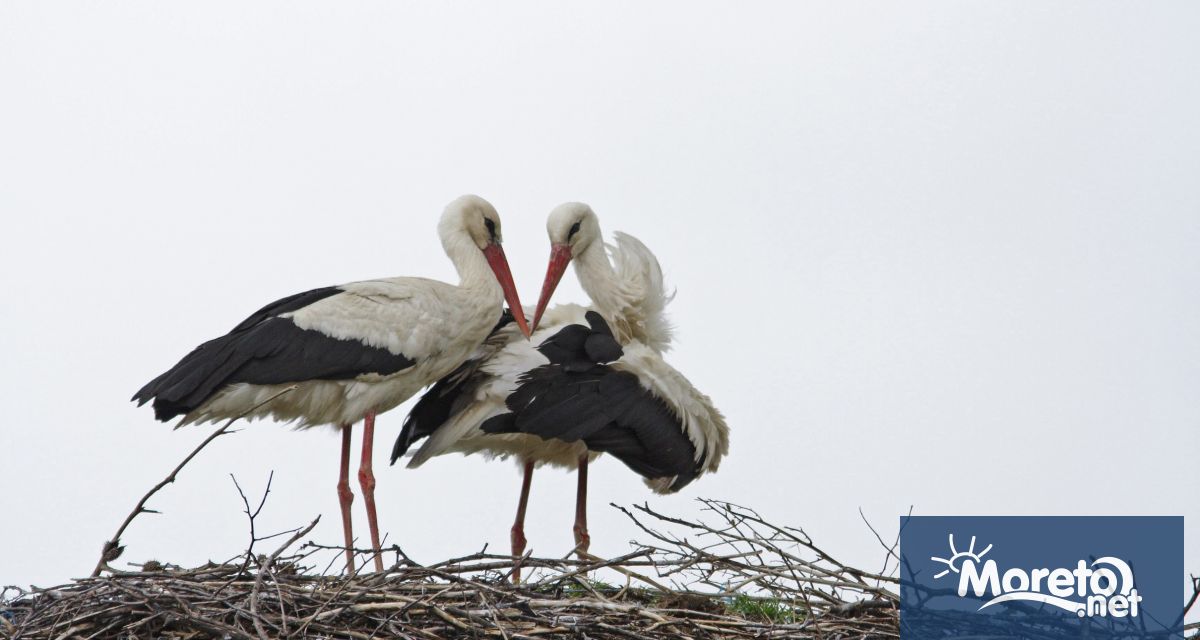 Рано тази сутрин в 5 часа и 6 минути българско