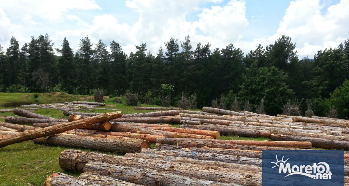 Близо 5200 проверки извършиха за 3 дни инспектори от държавните