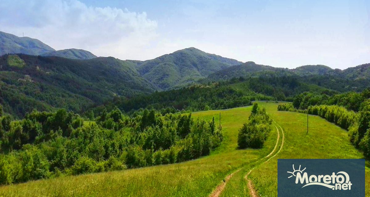 Нов доклад на WWF разкрива че държавите членки насочват между