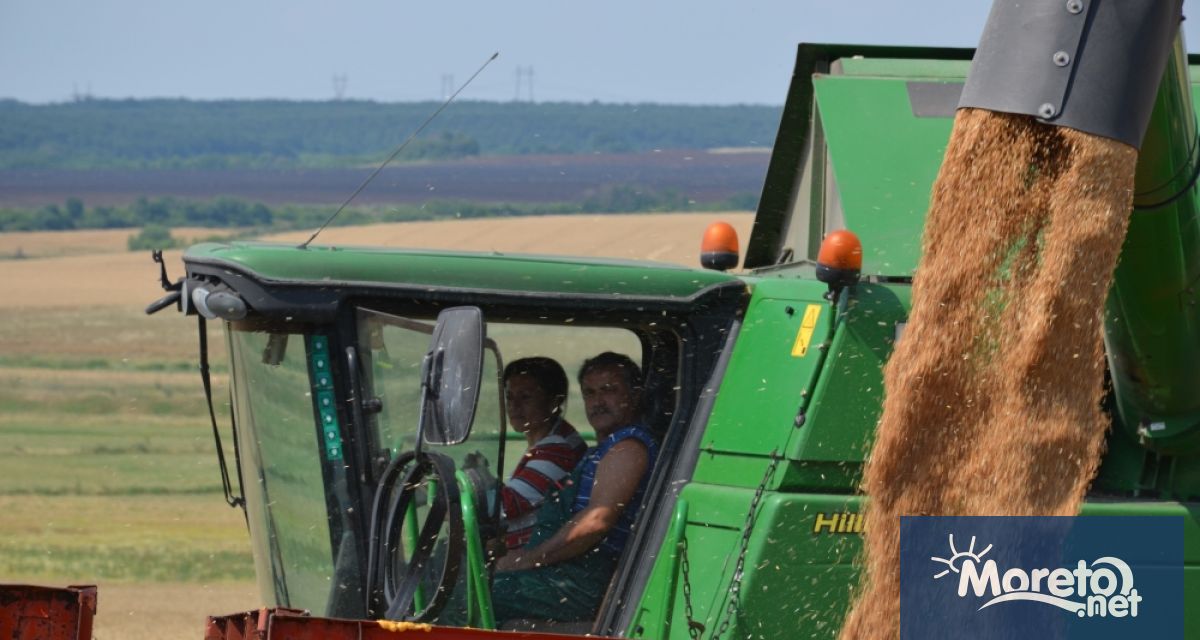 Президентът на Украйна Володимир Зеленски призова за отмяна на временните