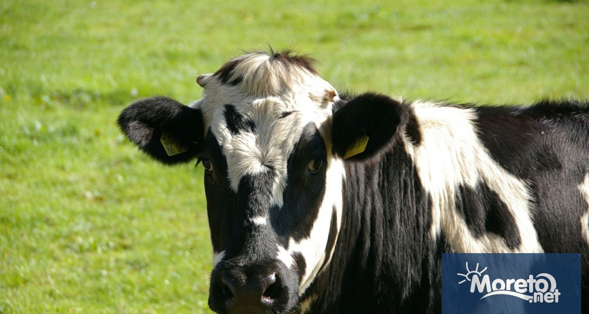 Четвърти човек в Съединените щати е дал положителен тест за