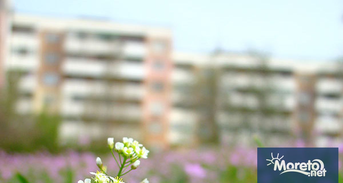 Междублоковото пространство между бул Чаталджа и улиците Цар Асен Войнишка