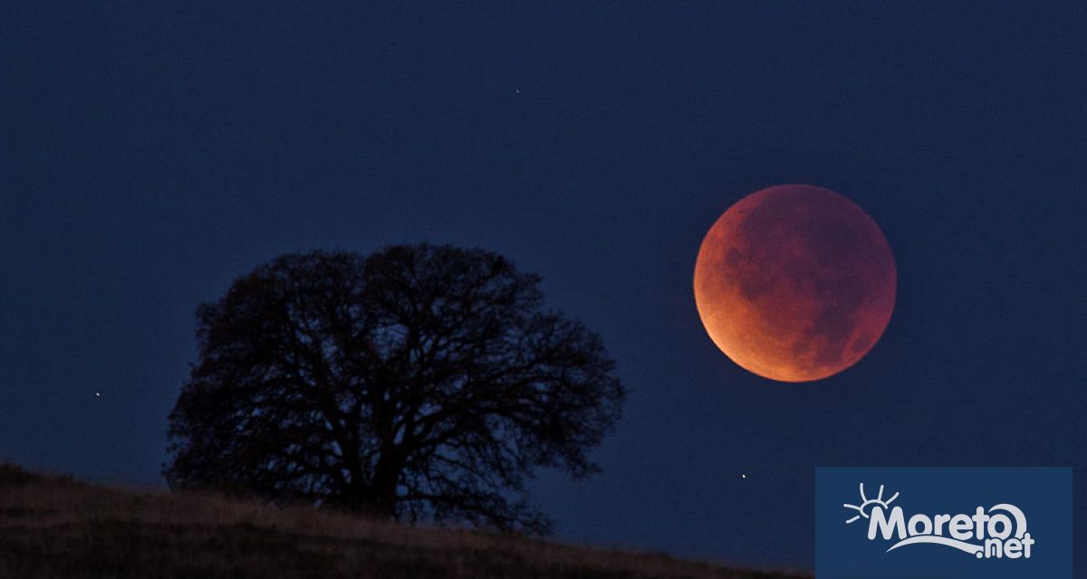 Нови идеи за борба с глобалното затопляне Учени от Университета