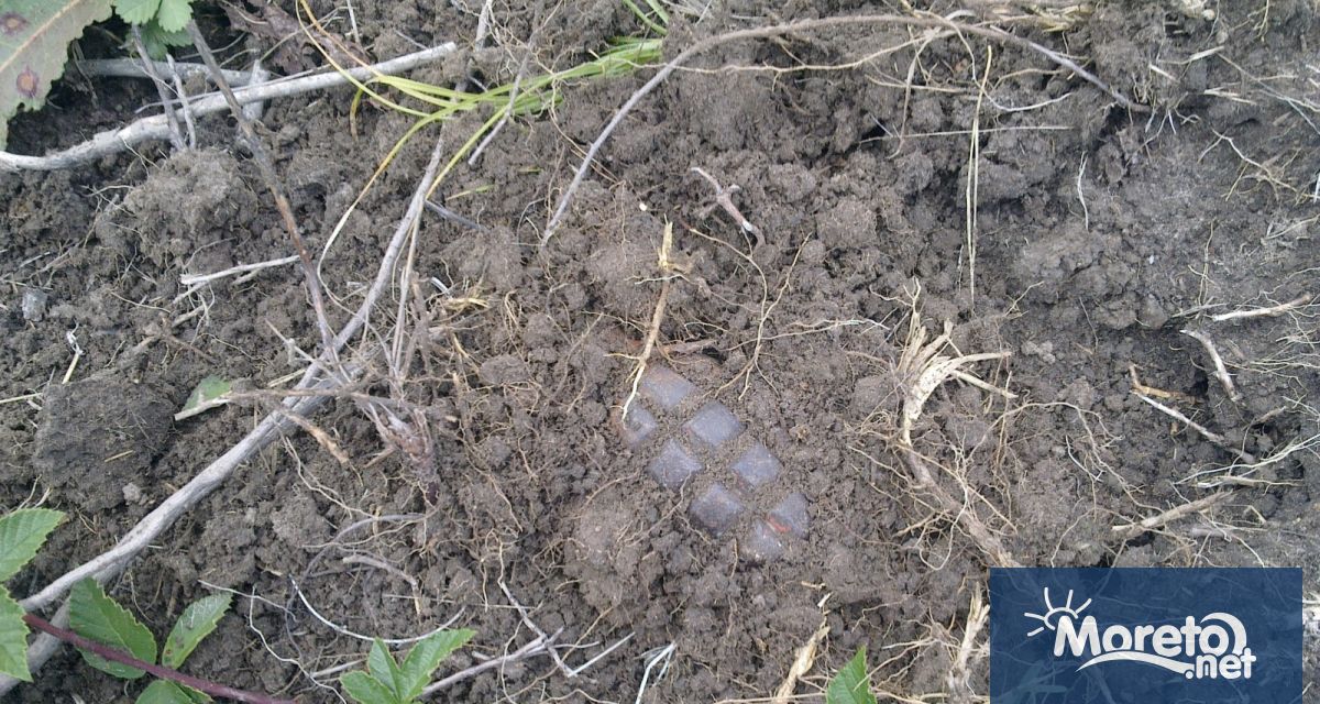 Деца са намерили корозирала граната в изоставен имот в село