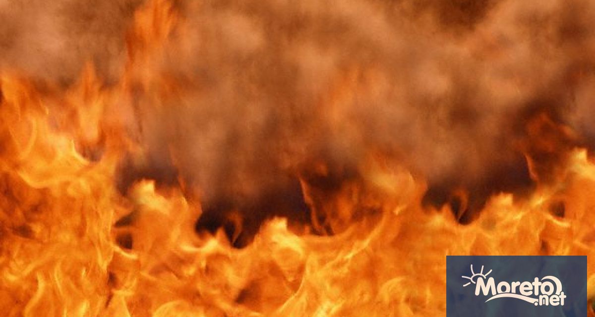 По разпореждане на министъра на земеделието и храните д р Георги