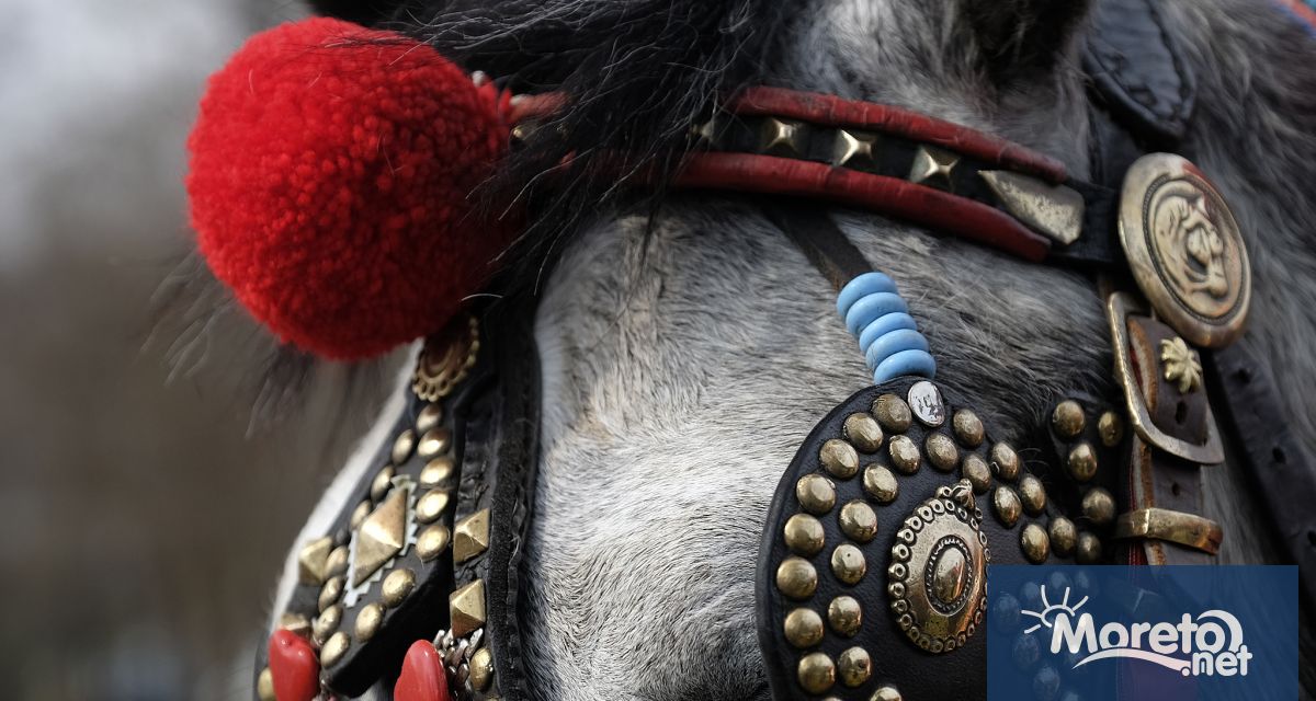 Екопарк Варна отменя тазгодишното честване на празника Тодоровден предвидено за