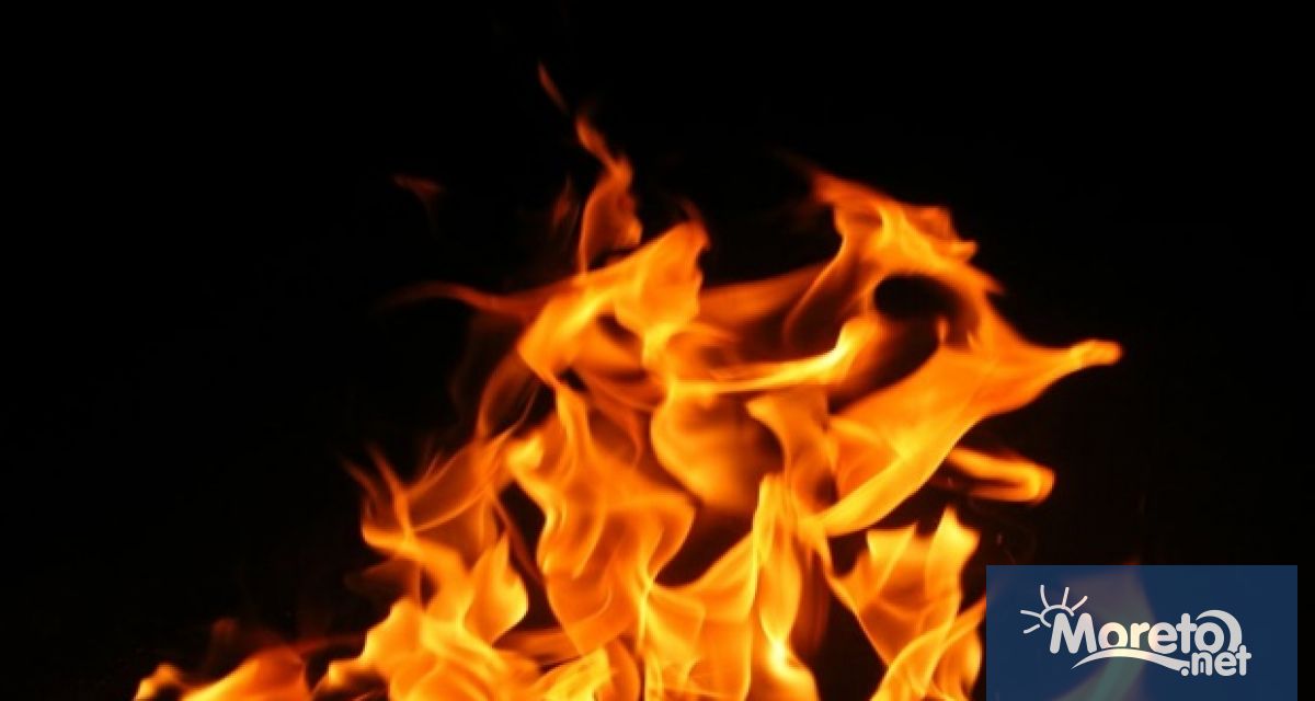 Операция по изгаряне на 20 тона конфискуван канабис в източния