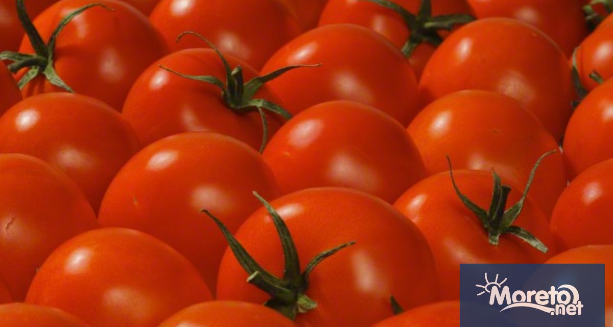 Извънредната мисия на Главна дирекция Здравеопазване и безопасност на храните