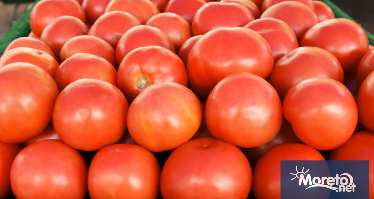 Зеленчукопроизводството свива своето присъствие в Брутната селскостопанска продукция до 4,1%,
