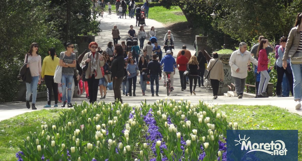 Рязък спад на доверието към правителството премиера и управляващото мнозинство