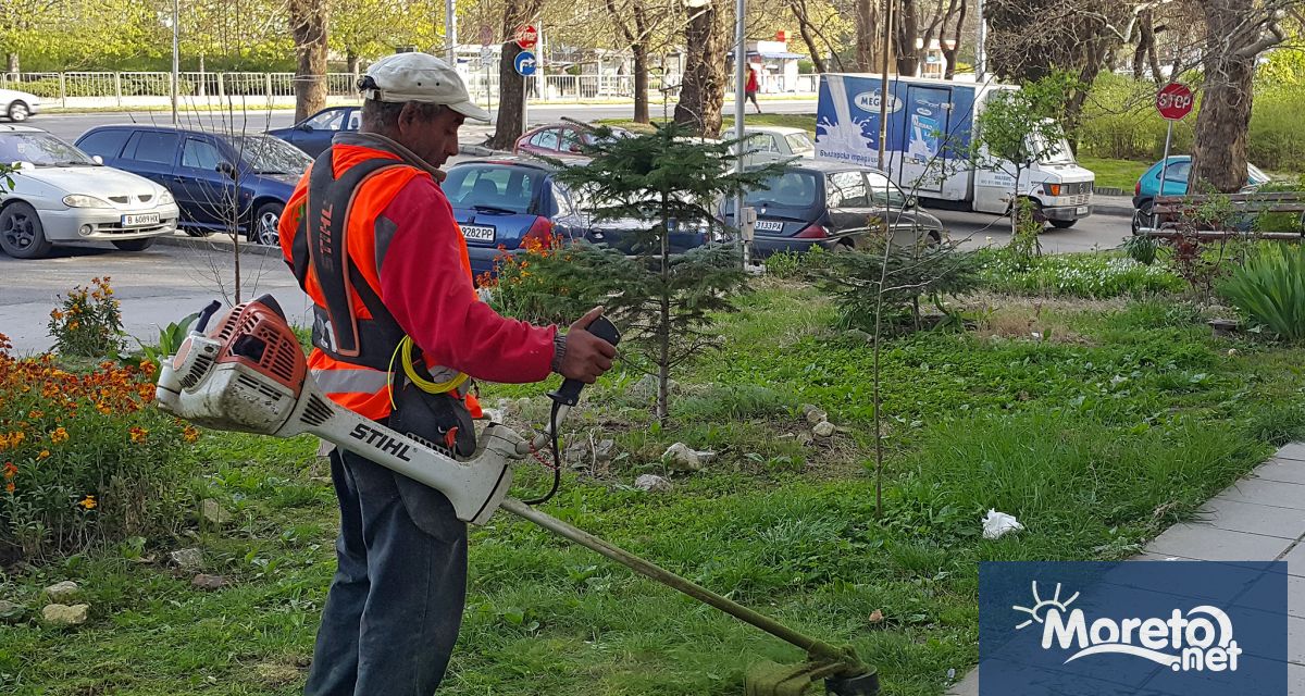 Всички дейности които са свързани с поддръжката на зелената система