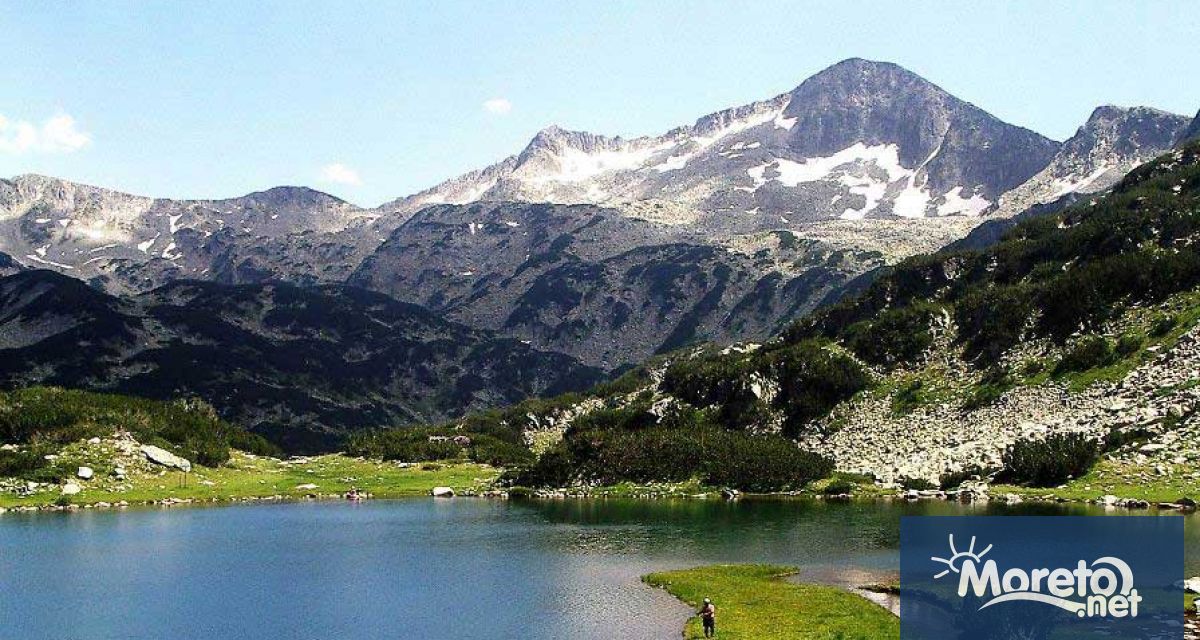 Малък 4 местен самолет Чесна е кацнал аварийно в района на