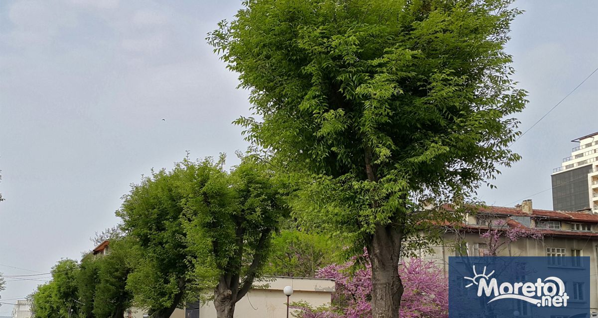 180 хил лв от бюджета на Община Варна са планиране