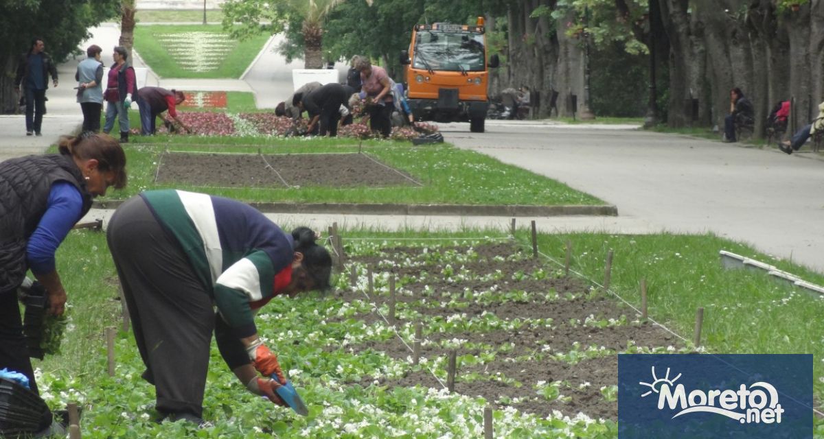 Днес е 1 август Денят на градинаря в България