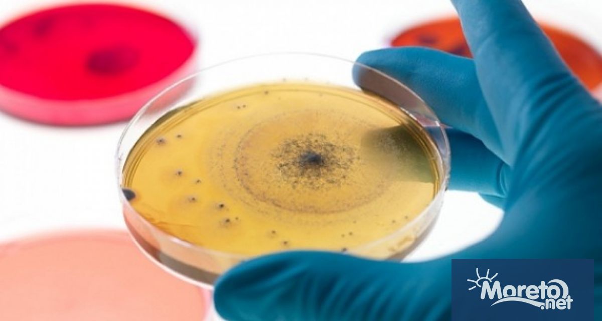 На 28 юли се отбелязва Световния ден за борба с