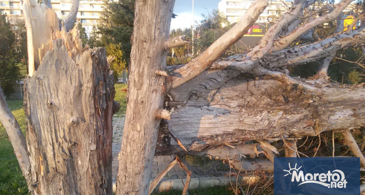 Мъж загина в София при инцидент в резултат на силния