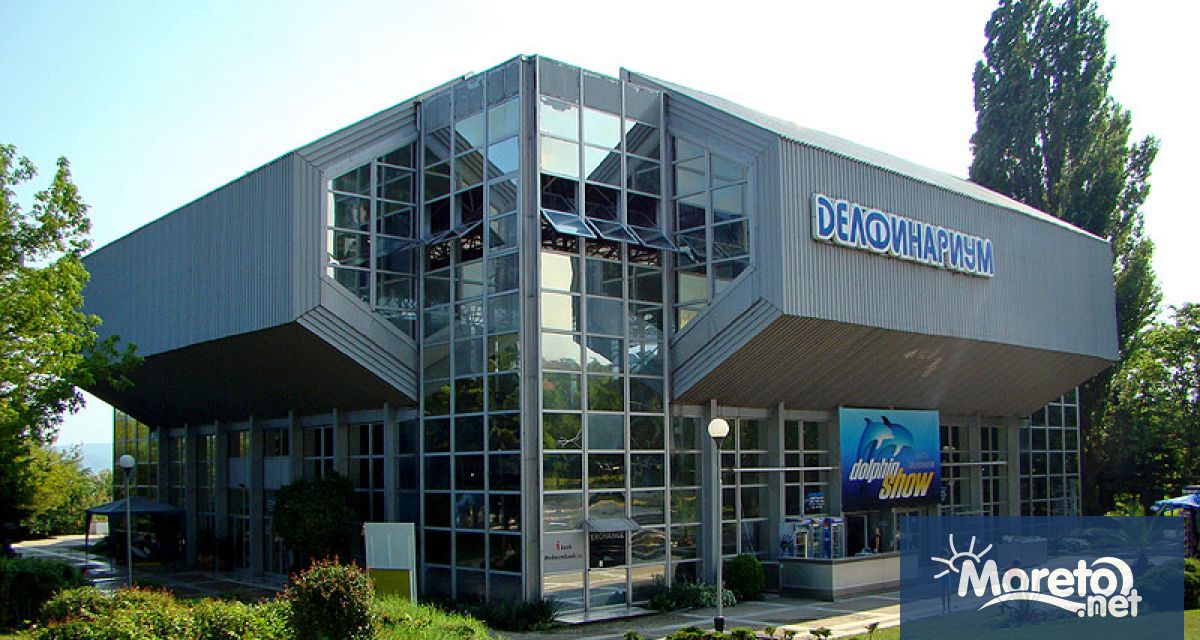 Варненският делфинариум днес навършва 39 години Уникалното атракционно съоръжение е