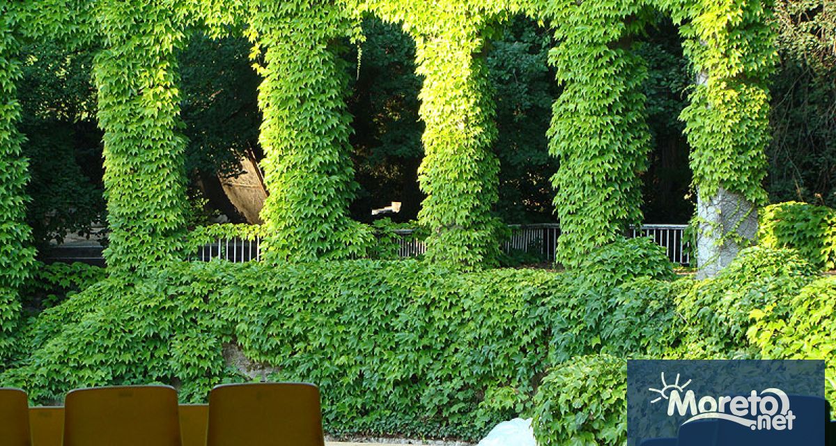 Най емблематичните мелодии от света на киното събира програмата на концерта