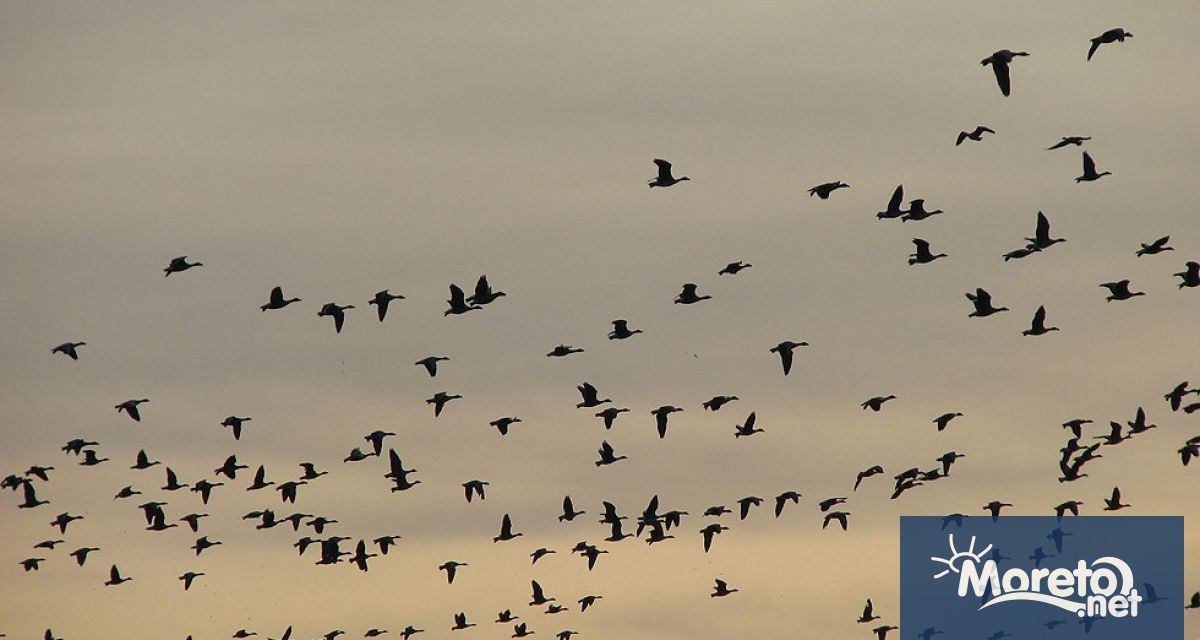 Във връзка с усложнената епизоотична обстановка по отношение на заболяването