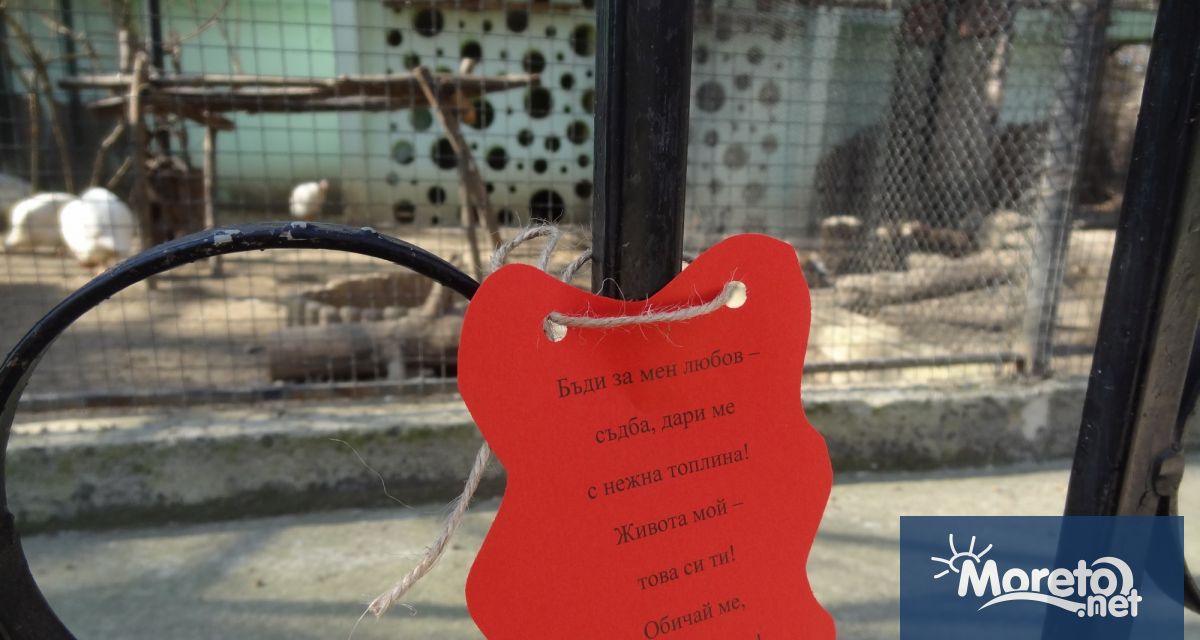 Всяка влюбена двойка посетила варненския зоопарк от 11 00 до