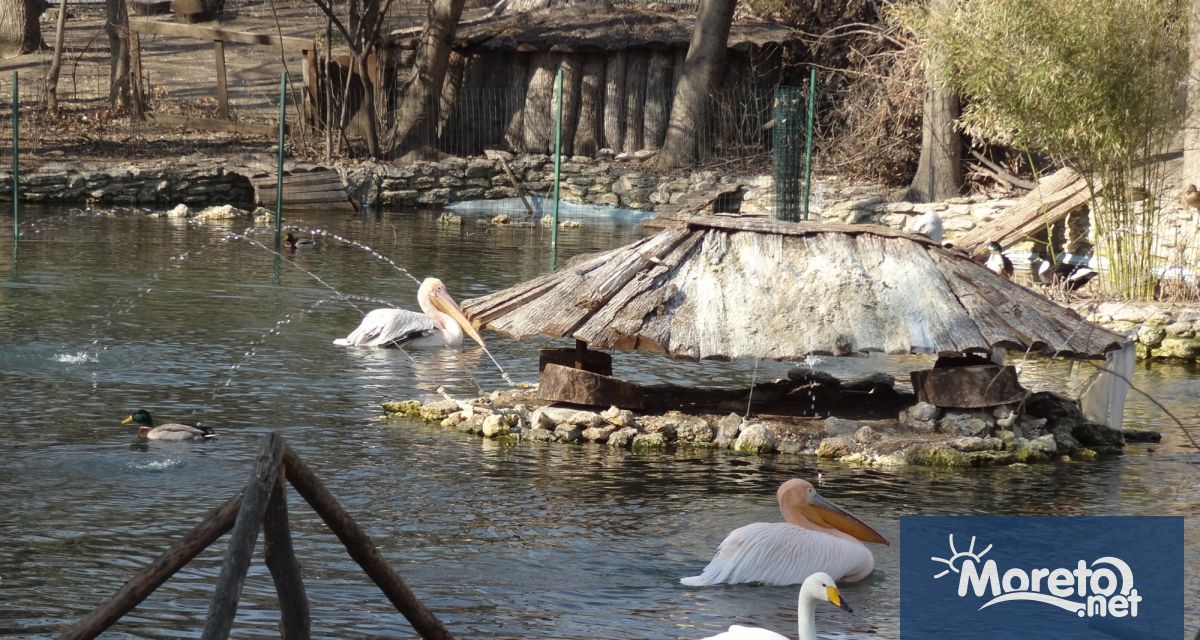 Варненският клуб Хоризонт излезе с позиция до медиите във връзка