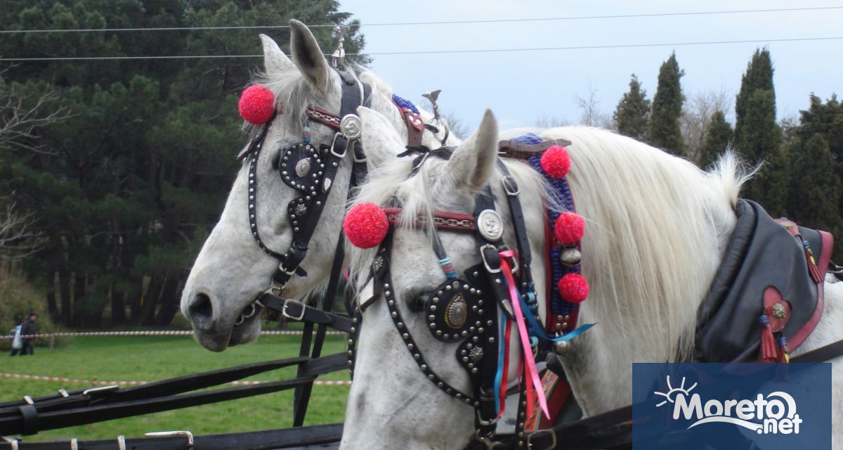 С конкурс за най красив конски впряг традиционна кушия и фолклорна
