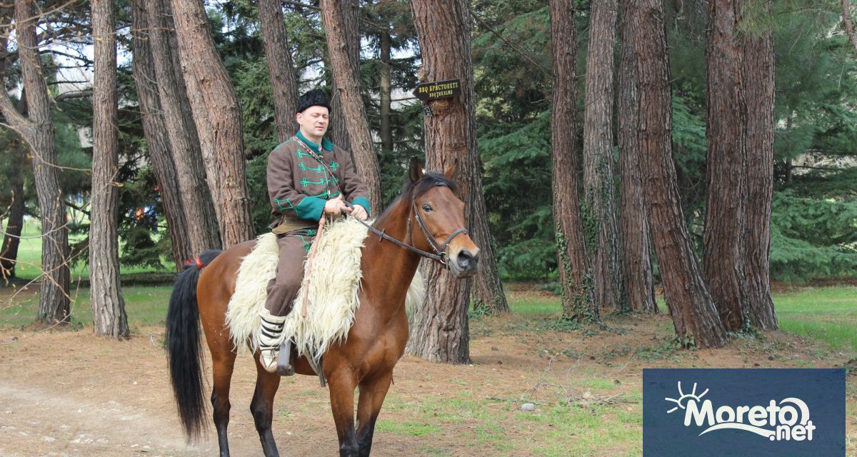 Връчиха жив коч на победителя в кушиите за Тодоровден край Варна ...