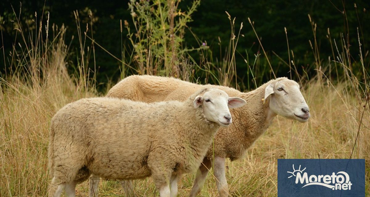 В рамките на проведена полицейска операция вчера служители на Районното