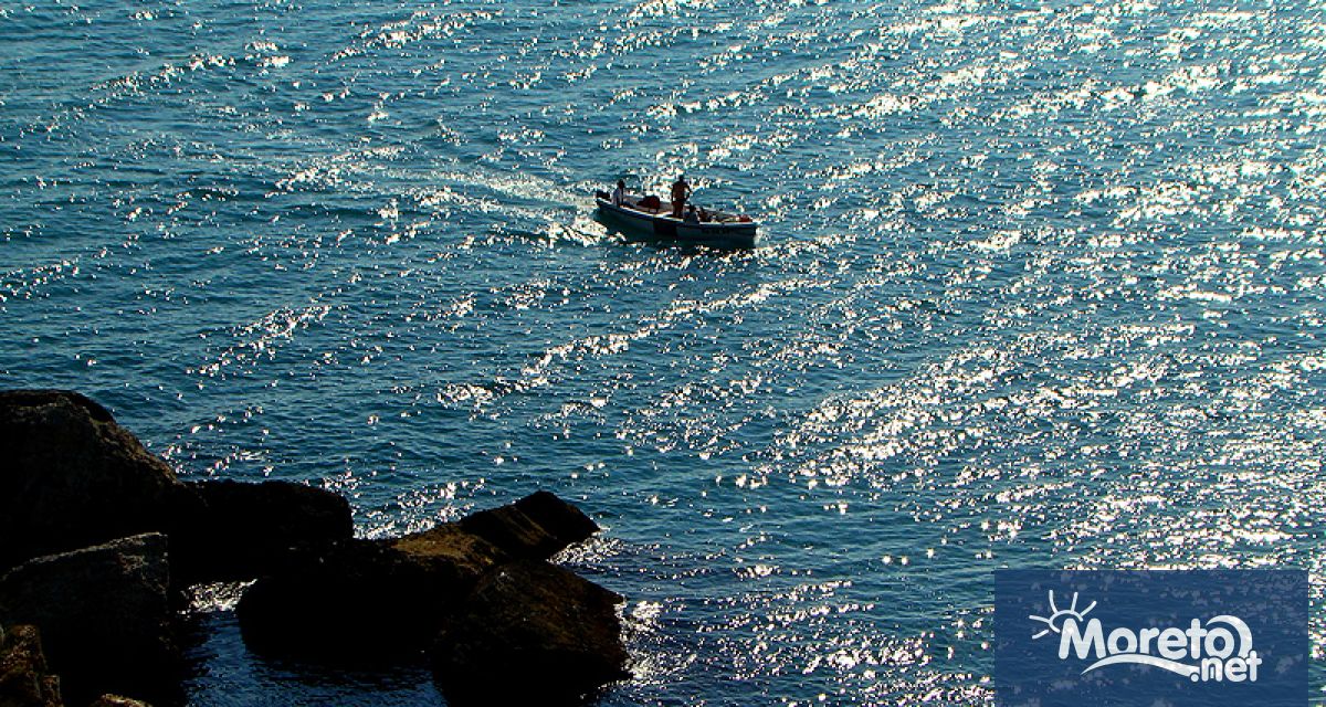 Опити да бъдат спасени корморани заплетени в рибарски мрежи в