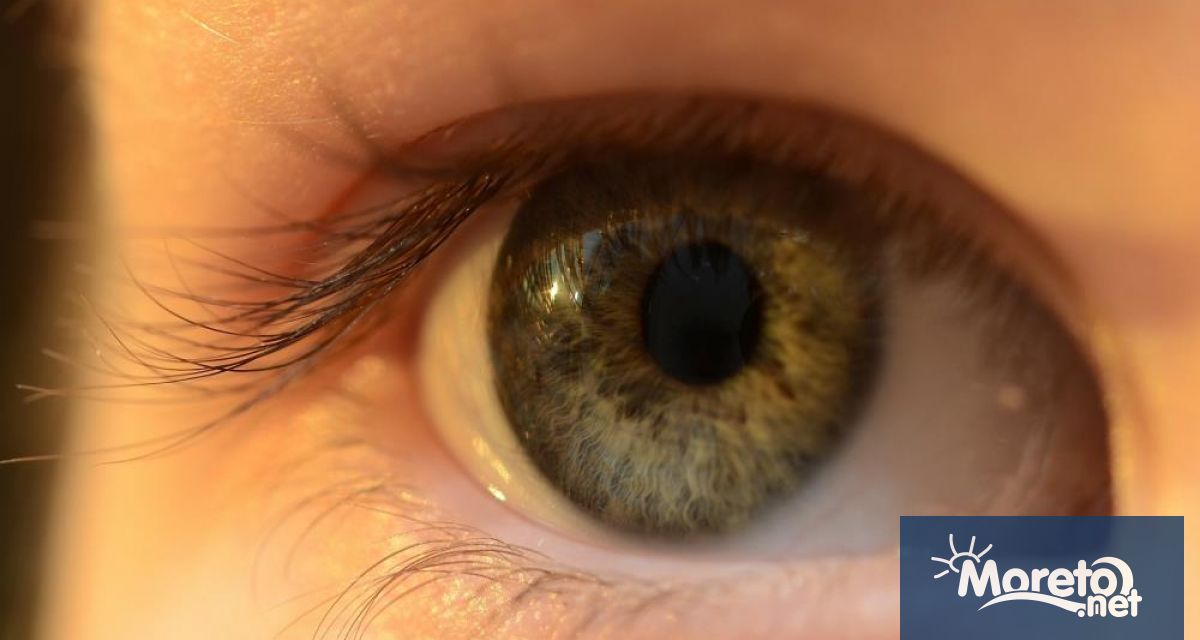 На 13 октомври се отбелязва Световният ден на зрението Заболяванията на