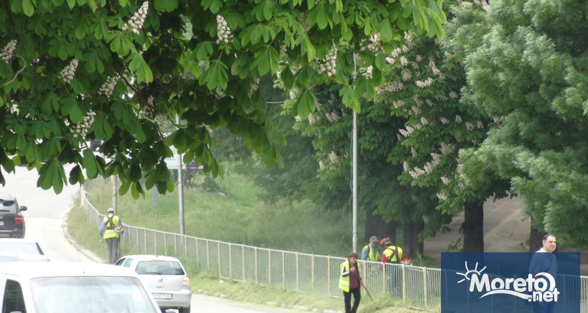 Неблагоприятните метеорологични условия високата влажност и валежите от дъжд могат