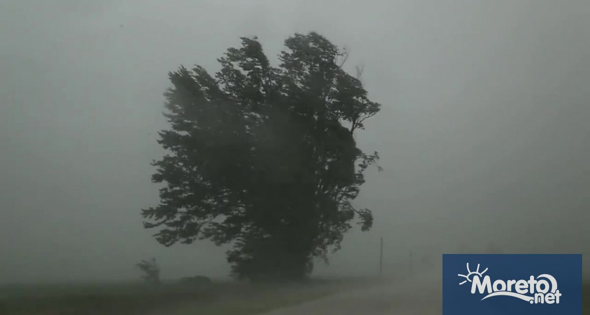 Ураганът Мелиса който удари Ямайка със скорост на вятъра 298