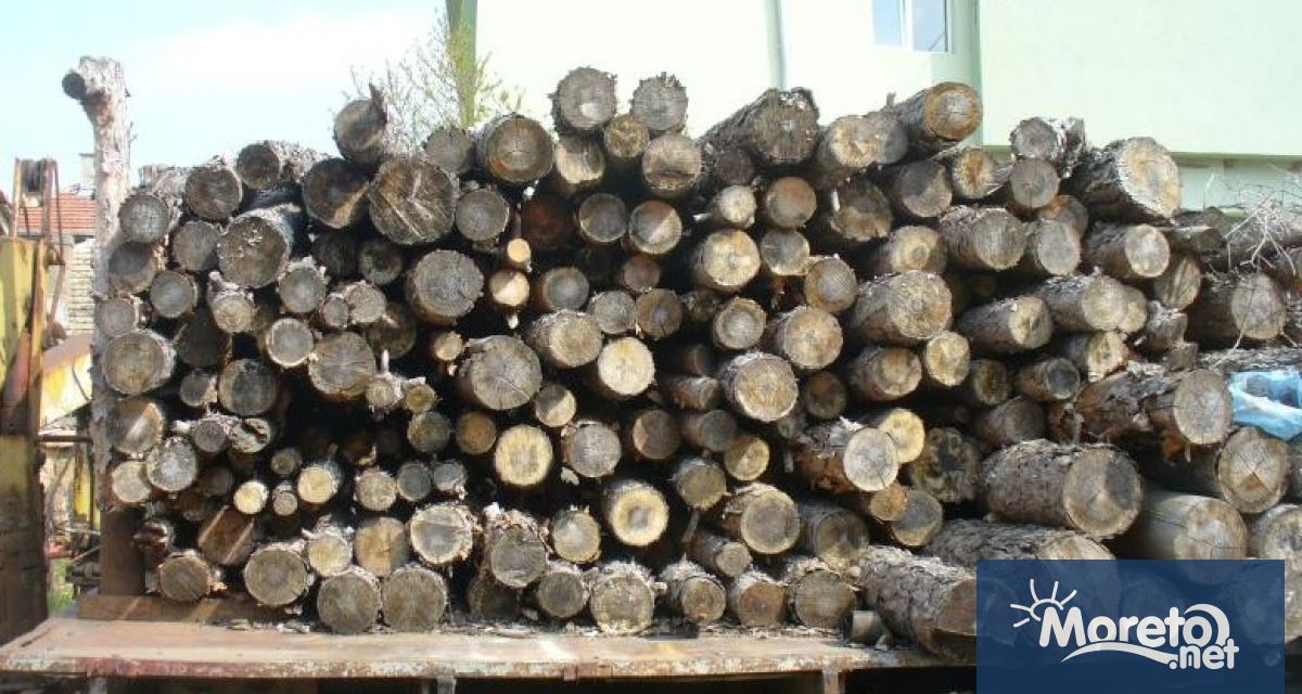 Ключови заводи в дървопреработващия сектор спират работа заради високите цени